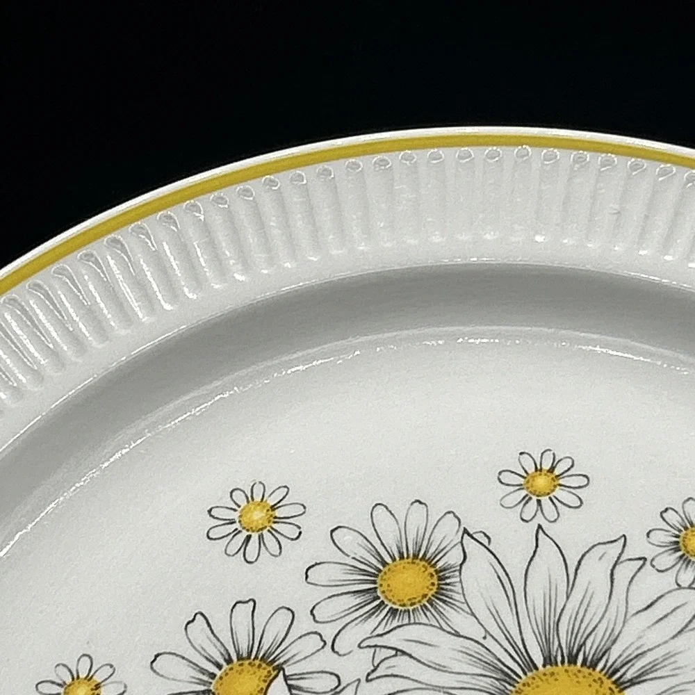 Vintage Atkins Ironstone Ware Daisy Japan 12